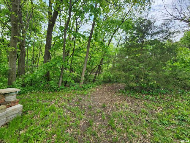 500 Claypool Street, Cantrall, IL 62625