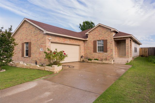 7009 Bountiful Grove Drive, Mckinney, TX 75070