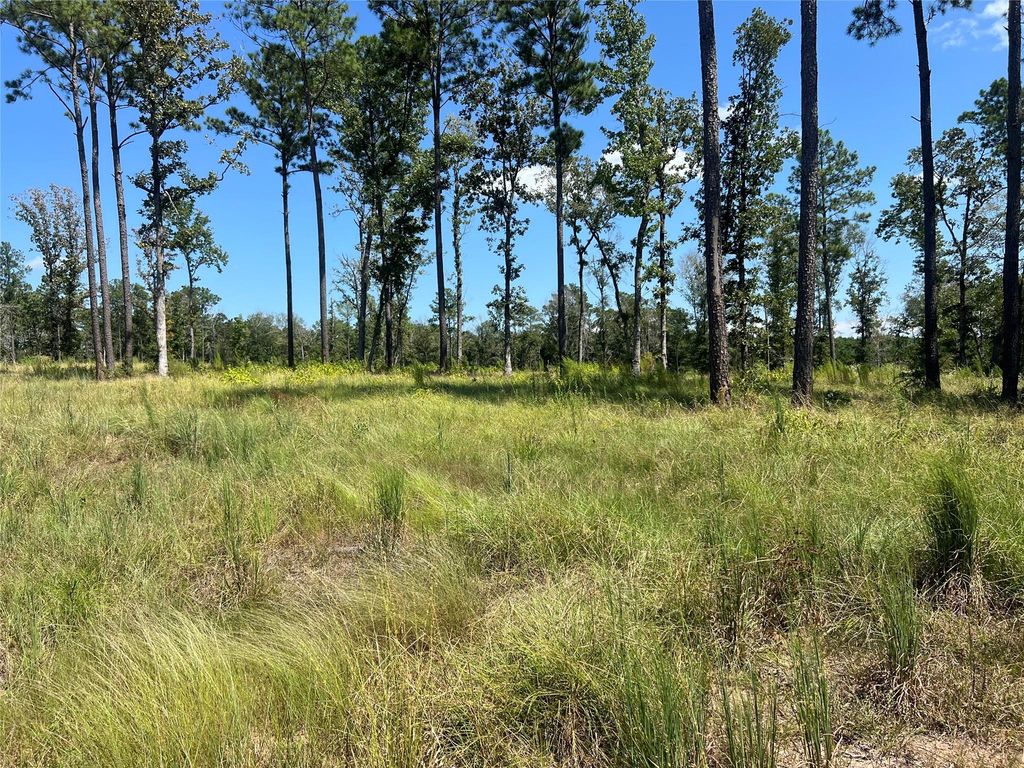 TBD Ray Marsh Rd Road, Livingston, TX 77351