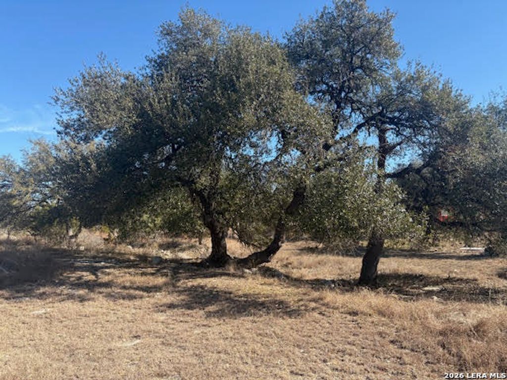 254 Jolie, Spring Branch, TX 78070