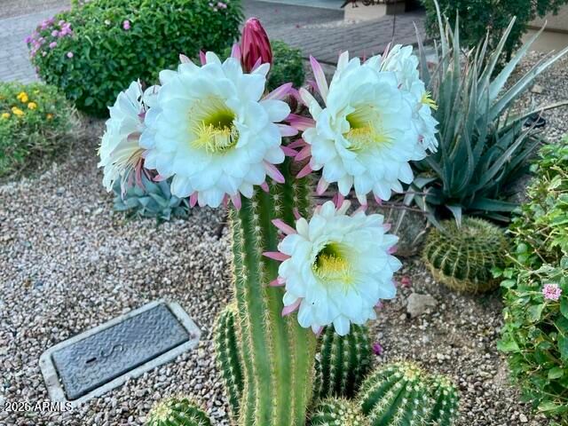 7221 E CALLE PRIMERA Vista, Scottsdale, AZ 85266