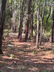0 Lucys Lane, Mount Pleasant, SC 29466