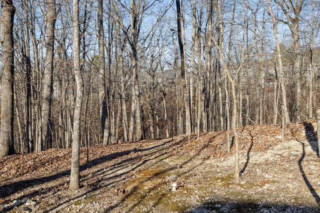 7176 Klingler Lane, Ooltewah, TN 37363