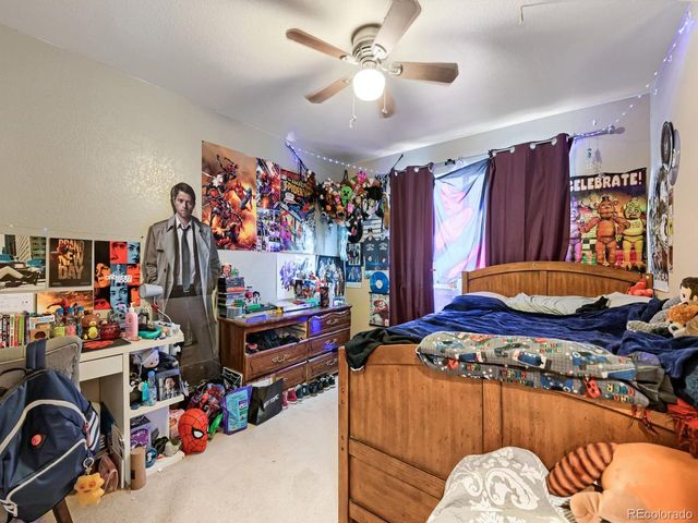 11034 Nome St, Henderson, CO 80640
