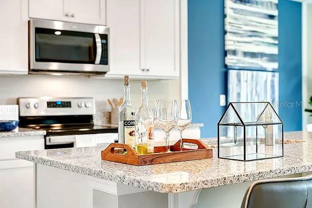 2030 MAPLE RIDGE DRIVE, Zellwood, FL 32798