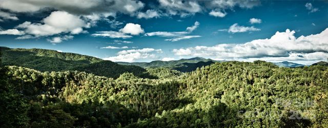 55 Laurel Ridge, Marshall, NC 28753