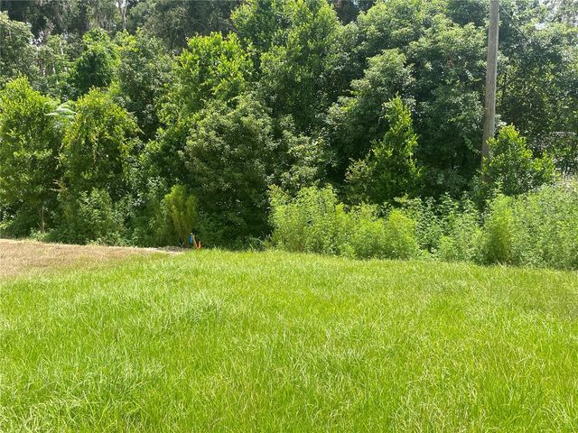 36544 SMITHFIELD LN, Zephyrhills, FL 33541