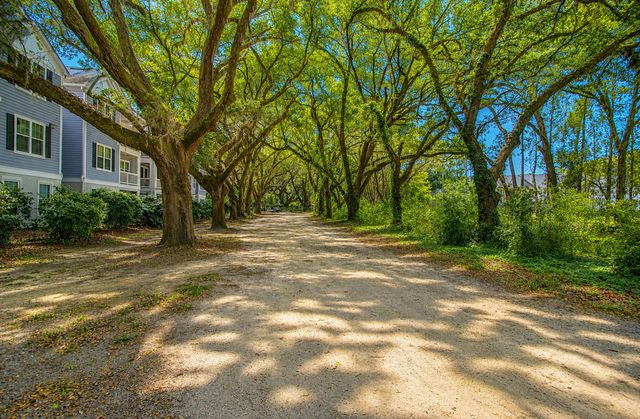60 Fenwick Hall Allee Alley 217, Johns Island, SC 29455
