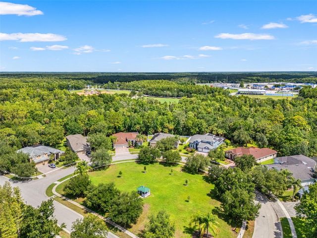 17308 CHENANGO LANE, Tampa, FL 33647
