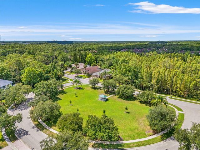 17308 CHENANGO LANE, Tampa, FL 33647