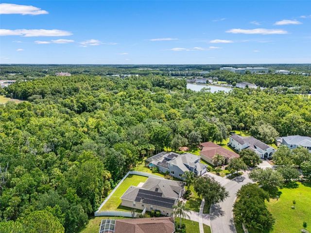 17308 CHENANGO LANE, Tampa, FL 33647