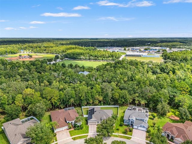 17308 CHENANGO LANE, Tampa, FL 33647