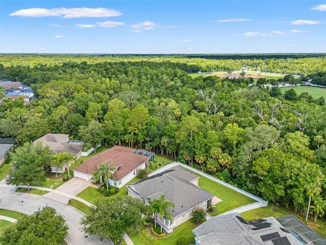 17308 CHENANGO LANE, Tampa, FL 33647