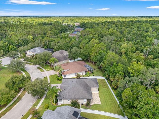 17308 CHENANGO LANE, Tampa, FL 33647
