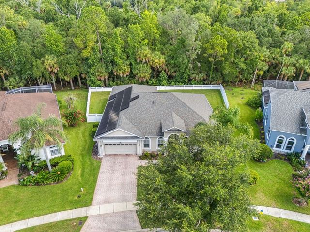 17308 CHENANGO LANE, Tampa, FL 33647