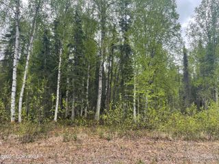 14968 Gyrfalcon Drive, Willow, AK 99688