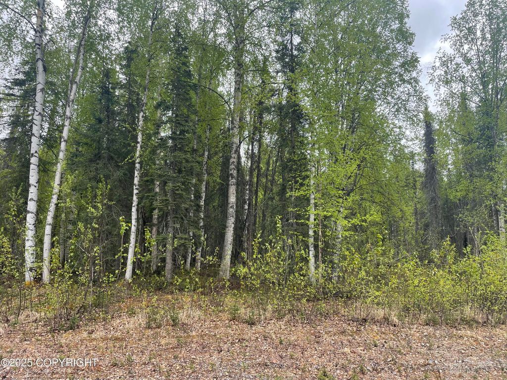 14968 Gyrfalcon Drive, Willow, AK 99688