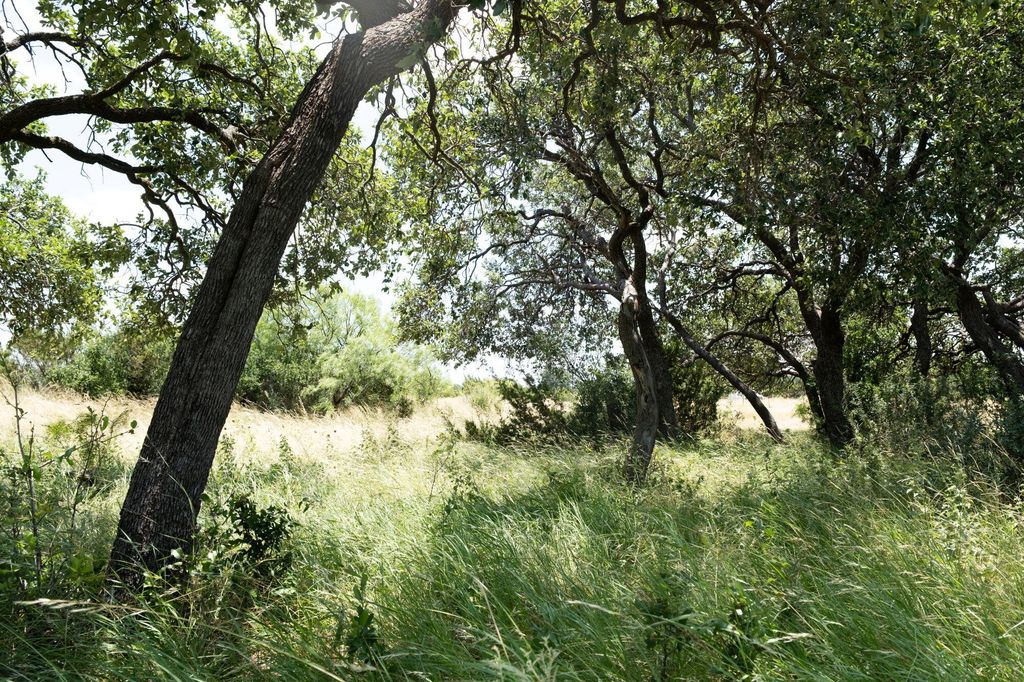Image 1 of property listing at 000 Cr 300, Eldorado, TX 76936