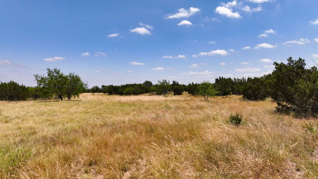 Image 10 of property listing at 000 Cr 300, Eldorado, TX 76936