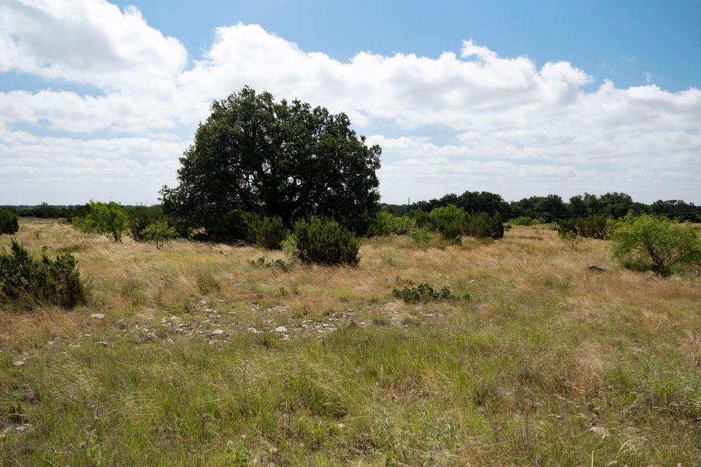 Image 11 of property listing at 000 Cr 300, Eldorado, TX 76936