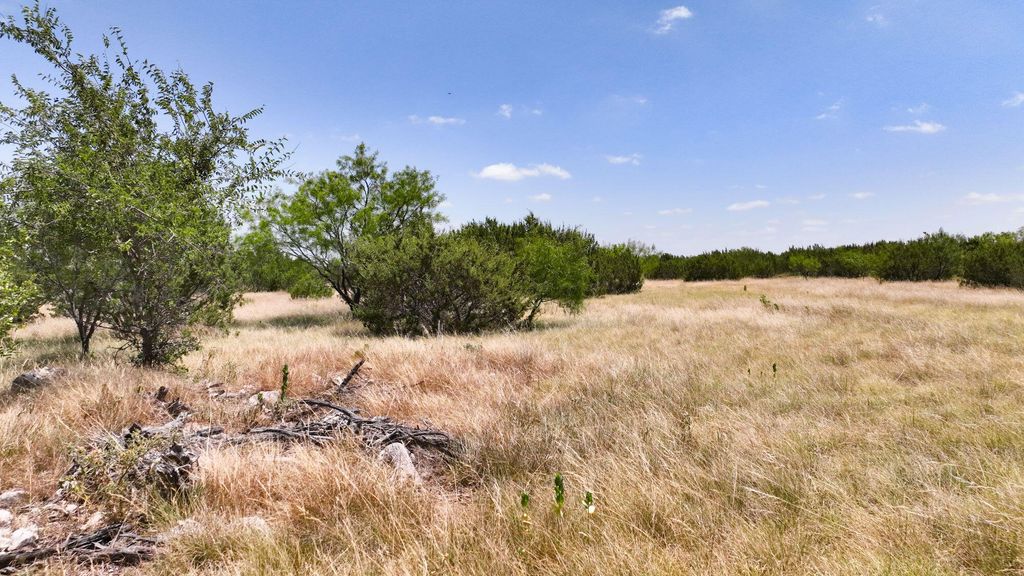 Image 13 of property listing at 000 Cr 300, Eldorado, TX 76936