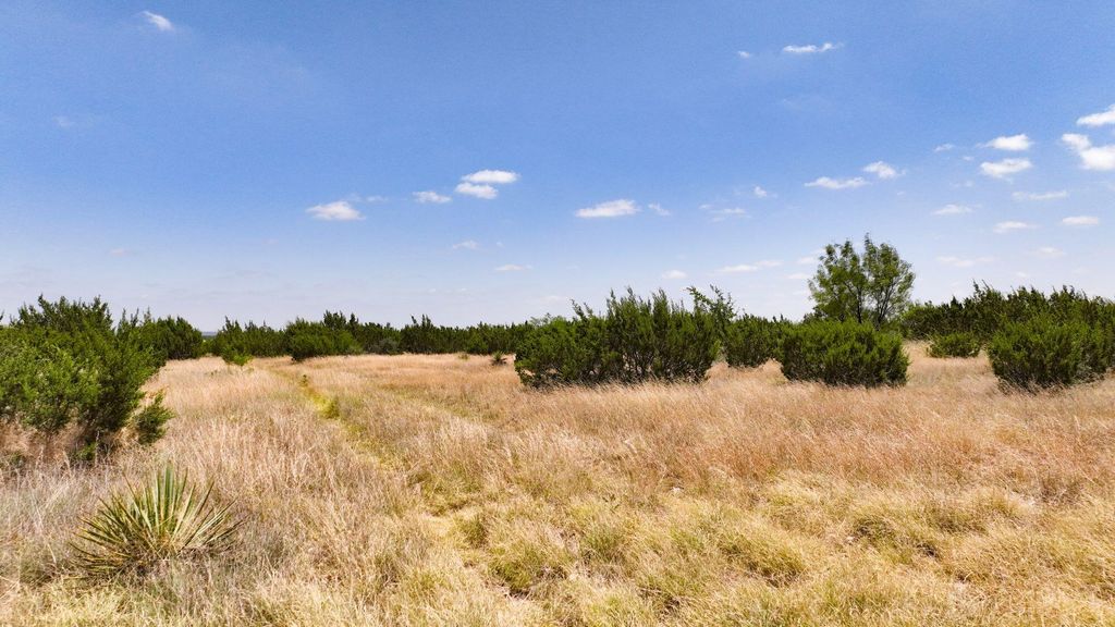Image 14 of property listing at 000 Cr 300, Eldorado, TX 76936