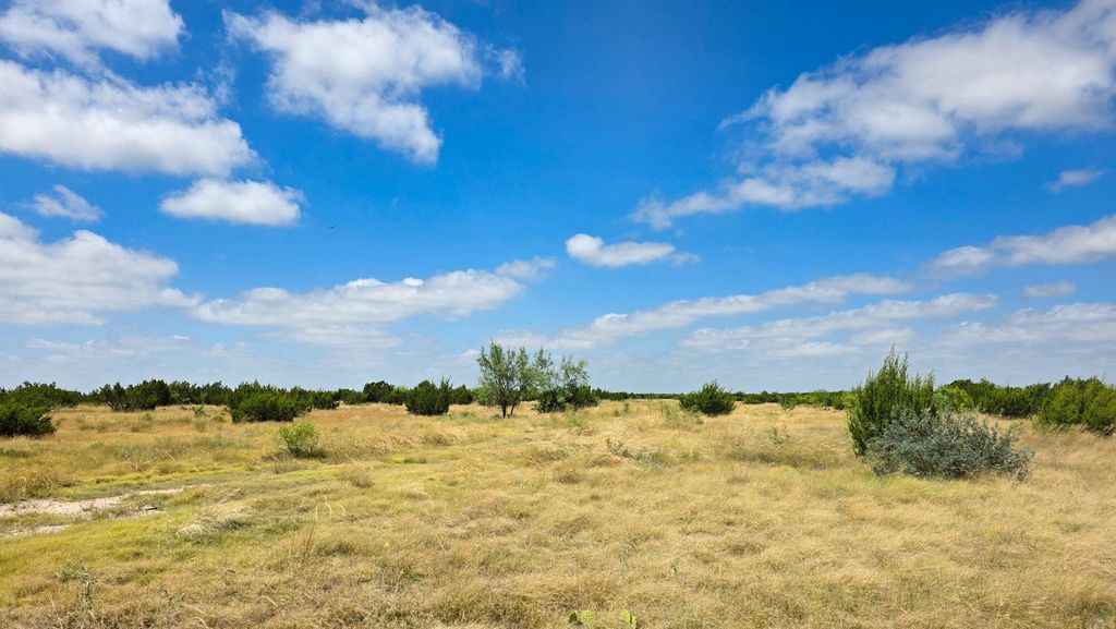 Image 16 of property listing at 000 Cr 300, Eldorado, TX 76936