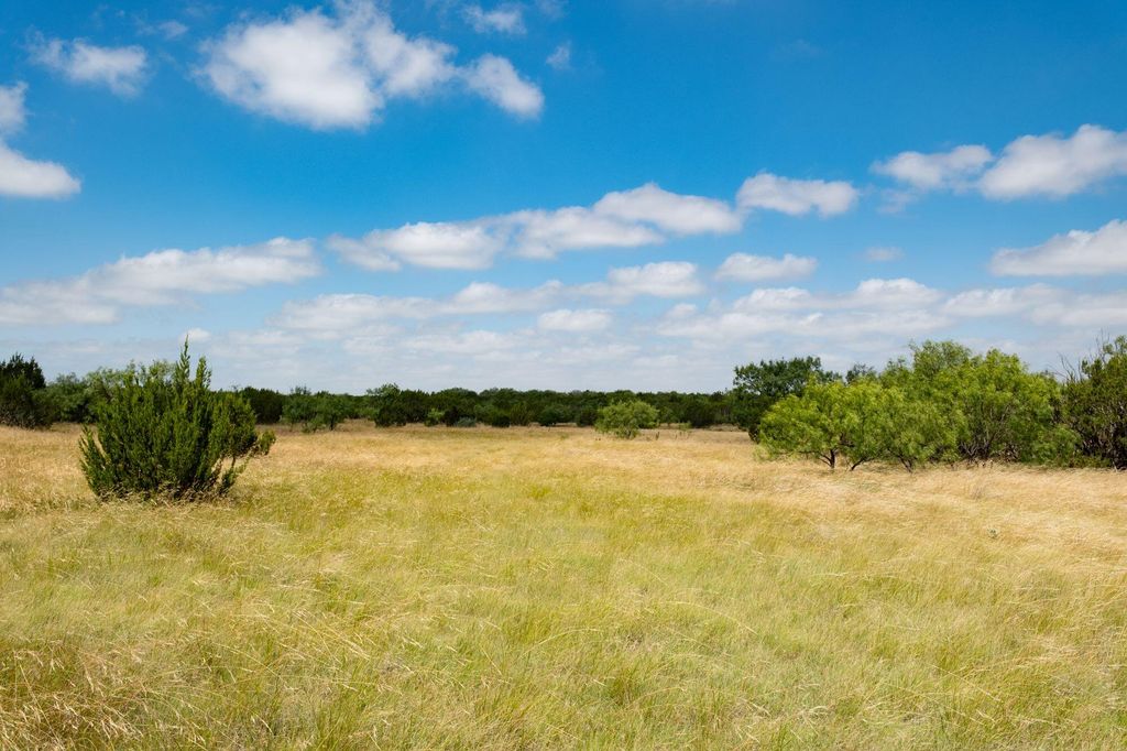 Image 17 of property listing at 000 Cr 300, Eldorado, TX 76936