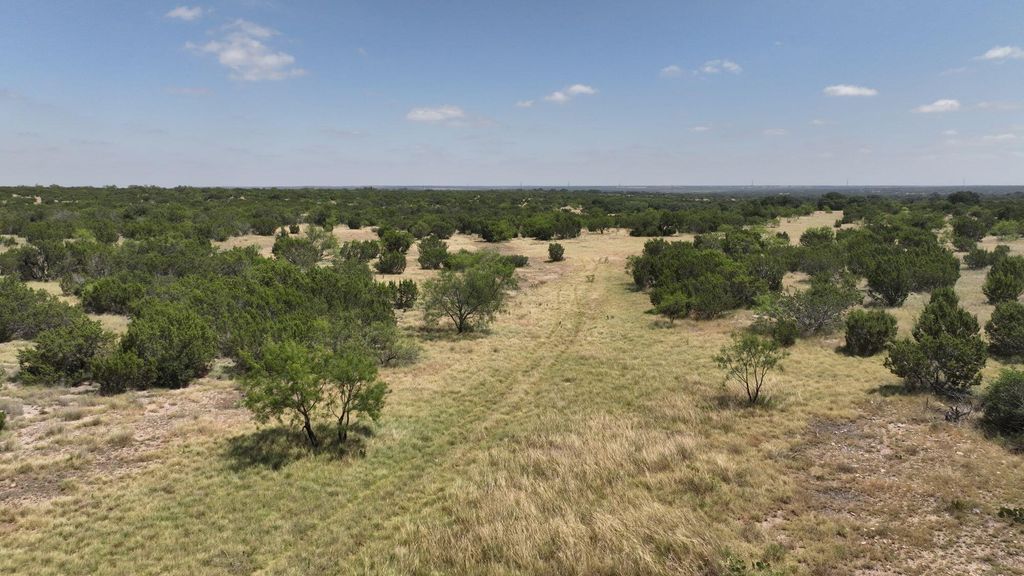 Image 2 of property listing at 000 Cr 300, Eldorado, TX 76936