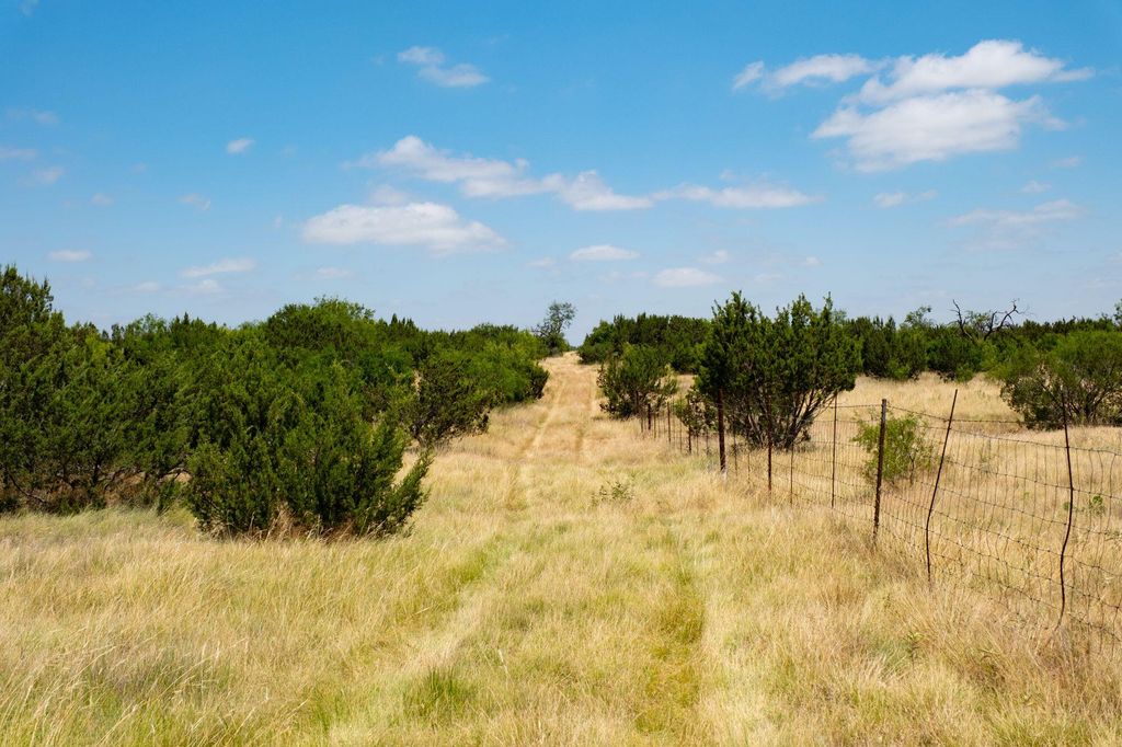 Image 20 of property listing at 000 Cr 300, Eldorado, TX 76936