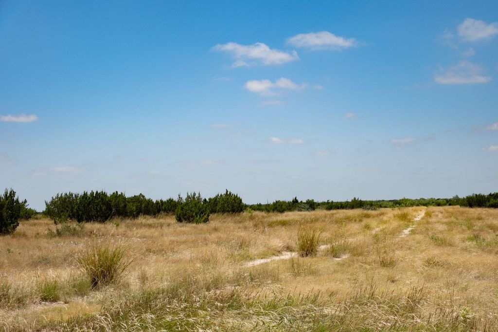 Image 21 of property listing at 000 Cr 300, Eldorado, TX 76936