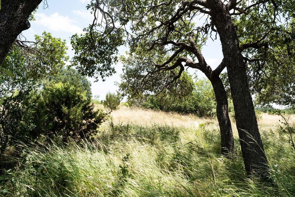 Image 22 of property listing at 000 Cr 300, Eldorado, TX 76936