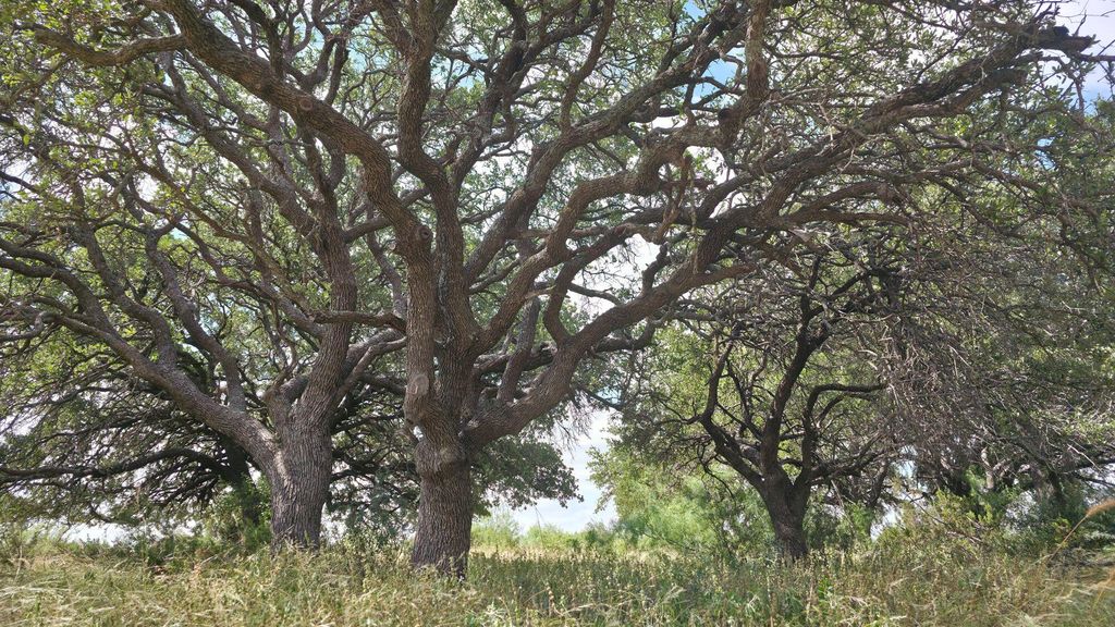 Image 23 of property listing at 000 Cr 300, Eldorado, TX 76936