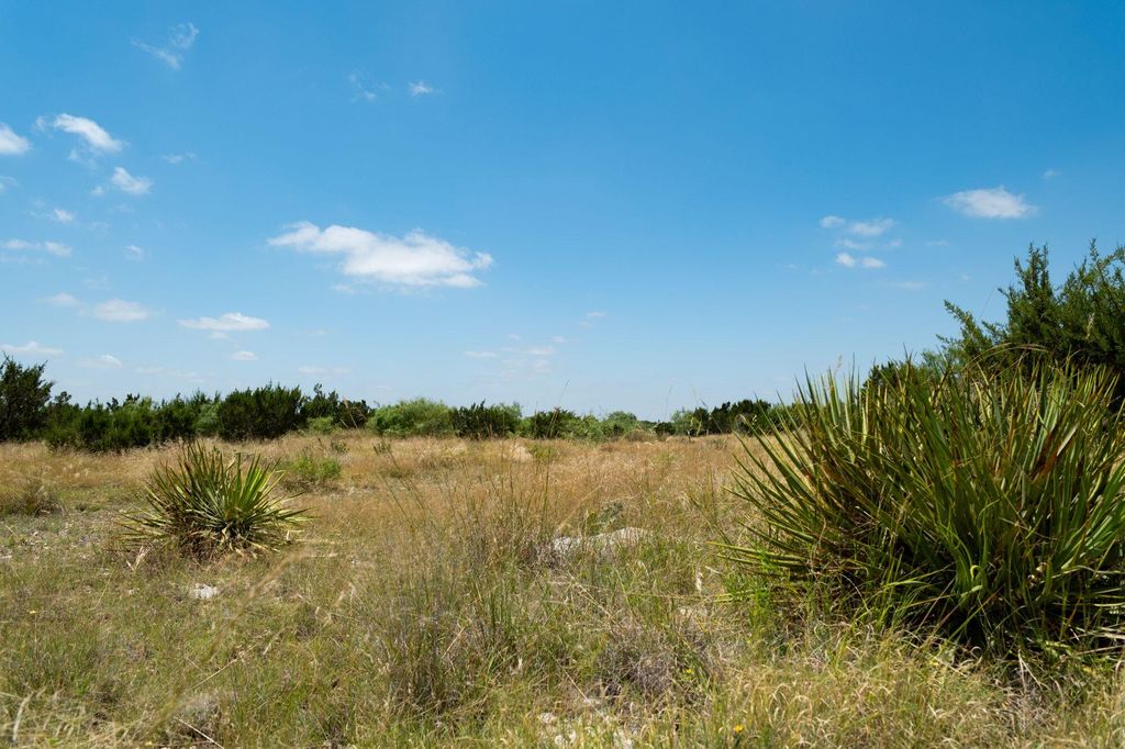 Image 4 of property listing at 000 Cr 300, Eldorado, TX 76936