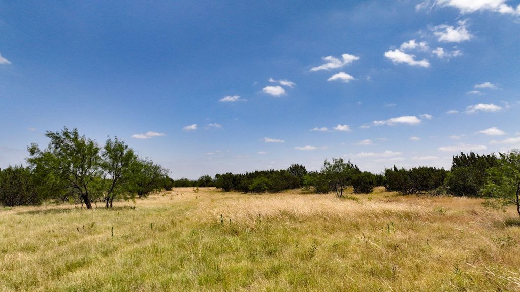 Image 6 of property listing at 000 Cr 300, Eldorado, TX 76936