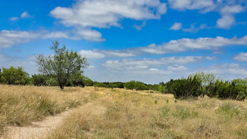 Image 7 of property listing at 000 Cr 300, Eldorado, TX 76936