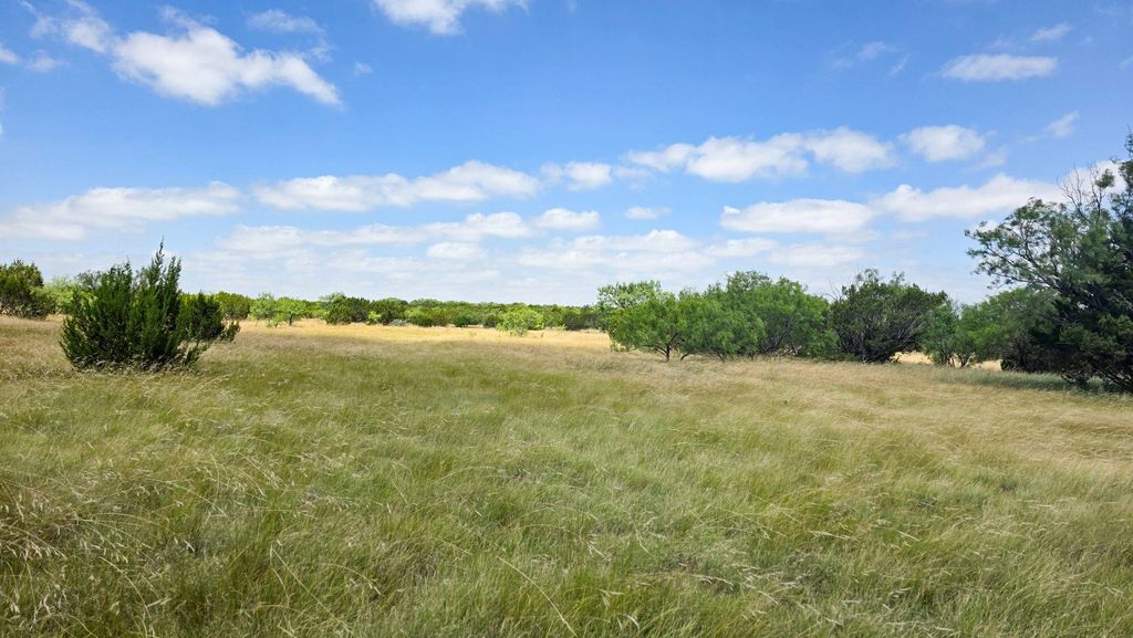 Image 8 of property listing at 000 Cr 300, Eldorado, TX 76936