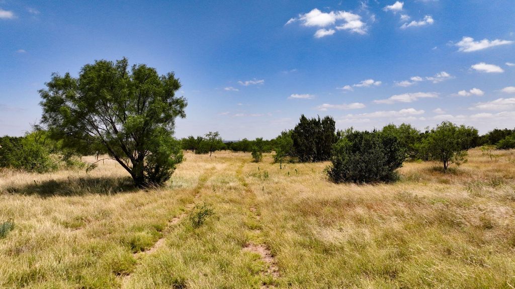 Image 9 of property listing at 000 Cr 300, Eldorado, TX 76936
