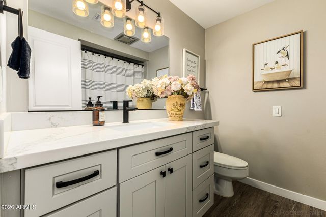 13815 N CAMEO Drive, Sun City, AZ 85351