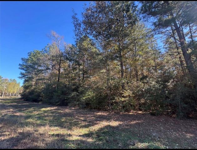 172 Grand View, Huntsville, TX 77340