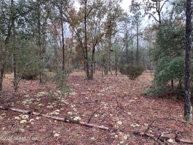 00 COLONY Street, Hawthorne, FL 32640