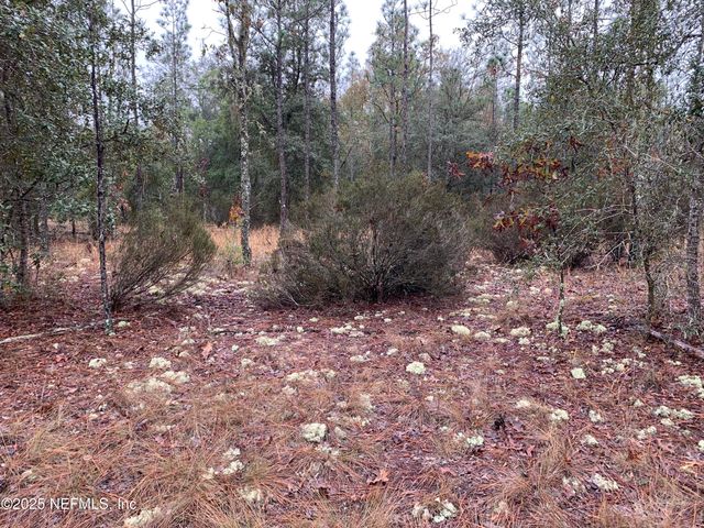 00 COLONY Street, Hawthorne, FL 32640