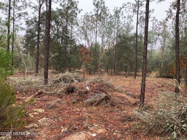 00 COLONY Street, Hawthorne, FL 32640