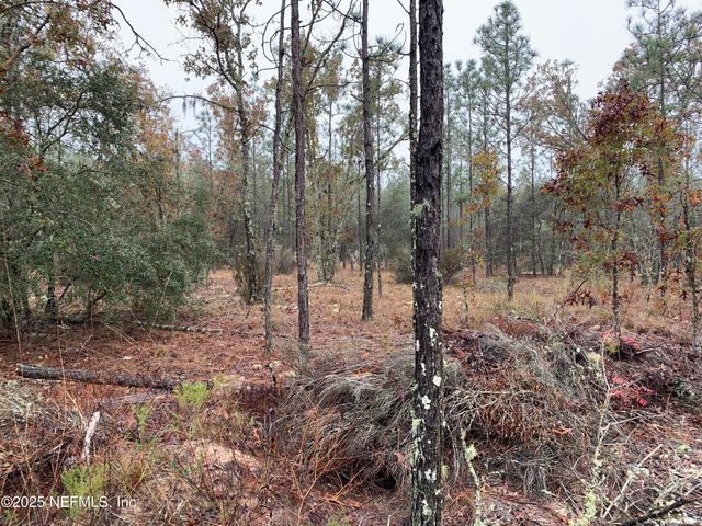 00 COLONY Street, Hawthorne, FL 32640