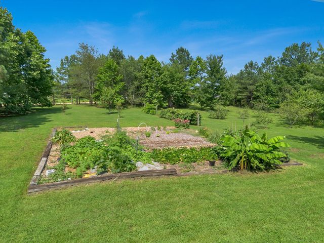 3534 Summertown Hwy, Summertown, TN 38483