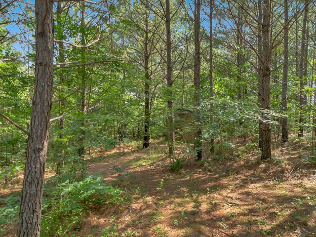 3534 Summertown Hwy, Summertown, TN 38483