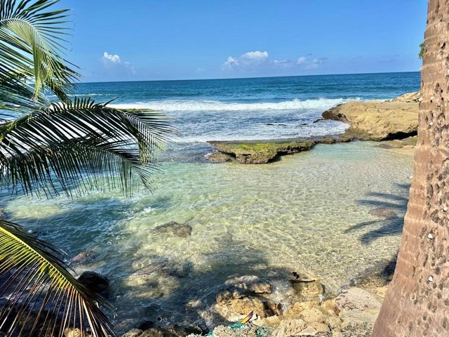 13 118B, Dorado, PR 00646