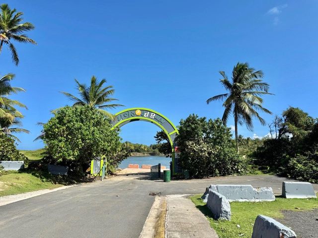 13 118B, Dorado, PR 00646