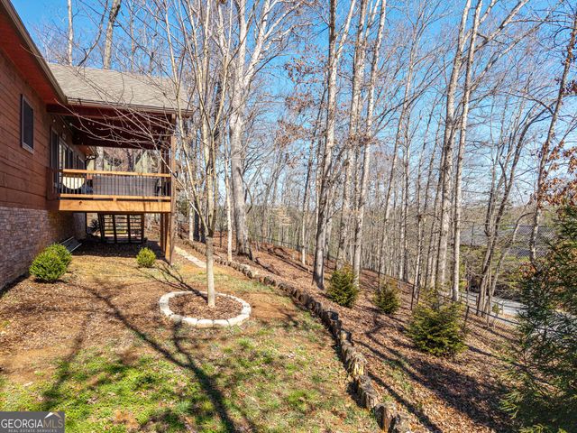 605 Toccoa Preserve Lane, Blue Ridge, GA 30513