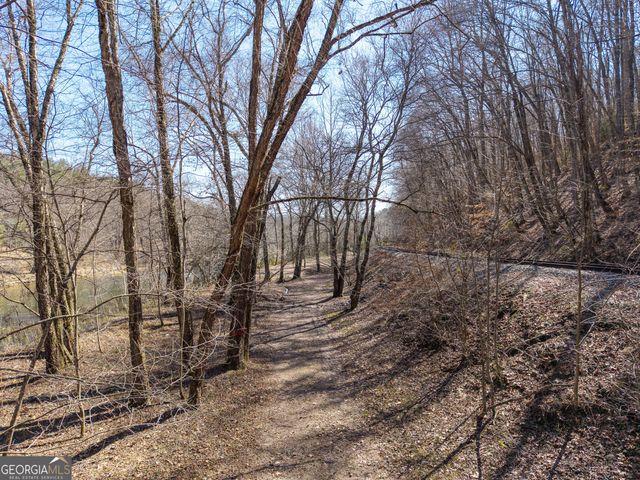 605 Toccoa Preserve Lane, Blue Ridge, GA 30513